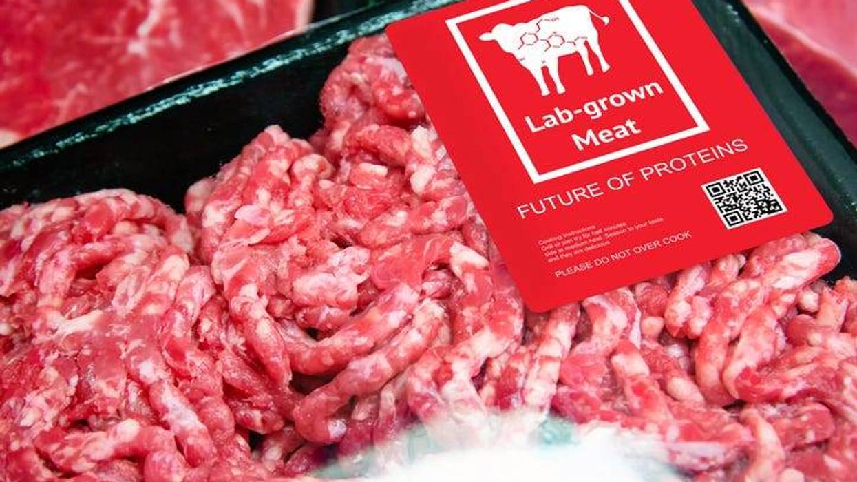 lab grown meat