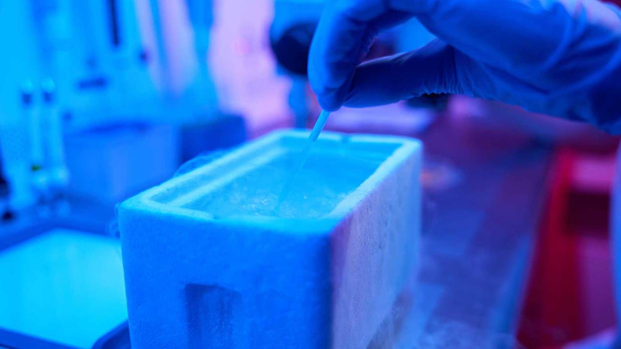 Lab worker immerses a straw with an embryo in a tank of liquid nitrogen, he uses modern equipment
