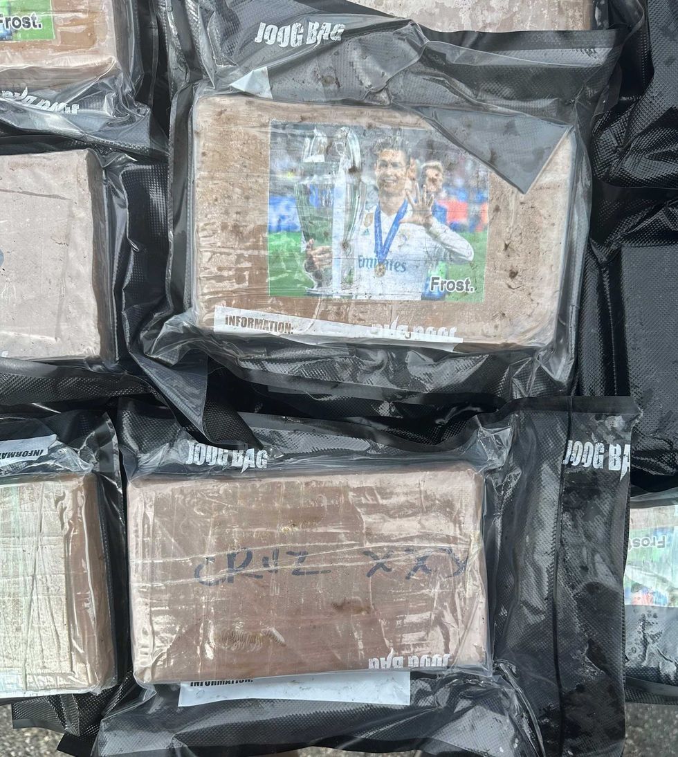 Labeled bags of cocaine recovered from a trailer in the Bronx.
