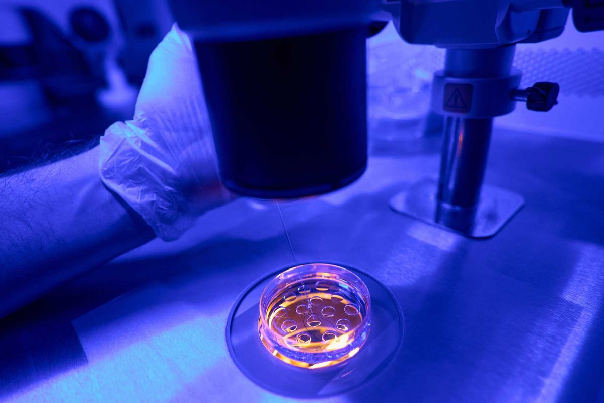 Laboratory researcher injecting special fluid into petri dish with embryos, conducting reserches of genetic material, close-up