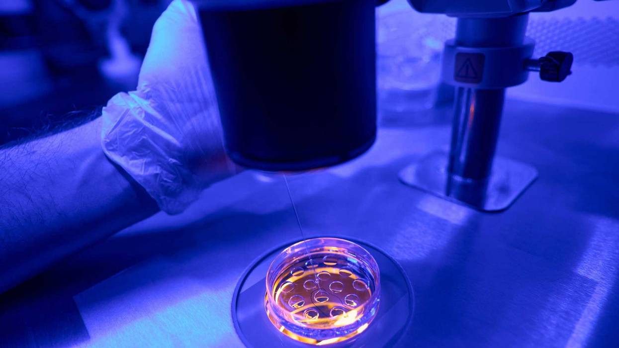 Laboratory researcher injecting special fluid into petri dish with embryos, conducting reserches of genetic material, close-up