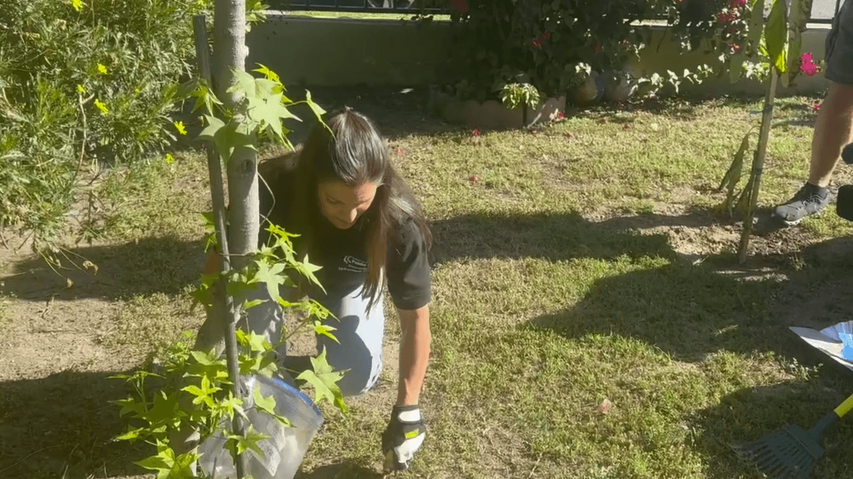 LACo Launches Residential Soil Testing Program in Eaton Fire Area