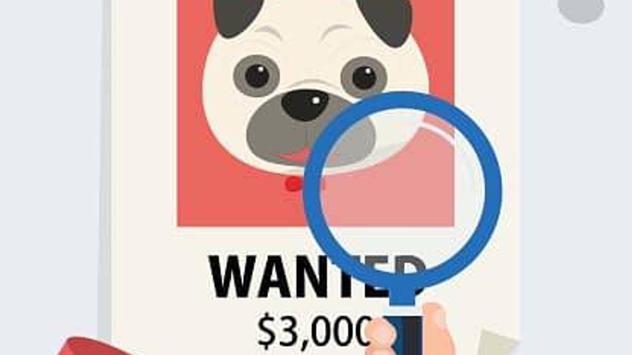 Lady Gaga's Reward Money