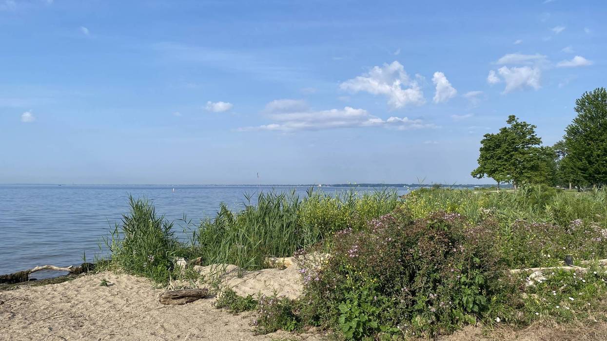 $15 million in improvements to Lake St. Clair Metropark will reopen North Marina, upgrade restrooms, improve accessibility