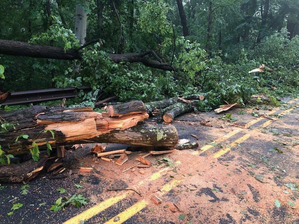 Lambertville storm damage