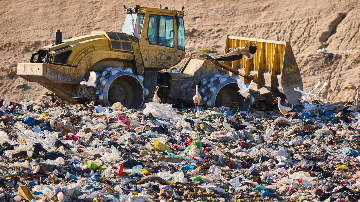 landfill