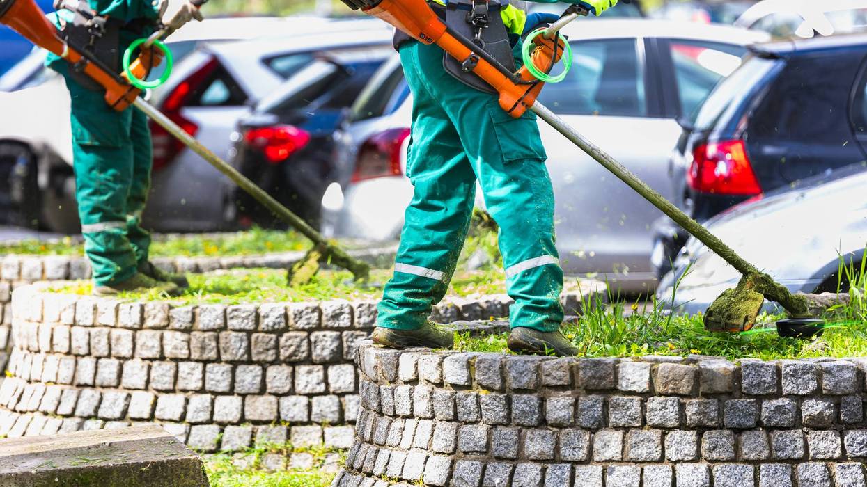 Landscapers with trimmers working by cars
