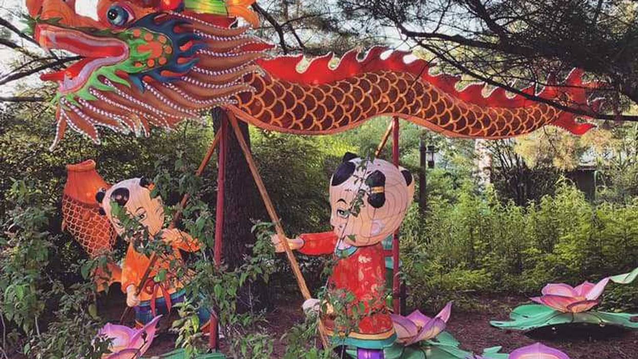 Lantern display at the Asian Lantern Festival at the Cleveland Metroparks Zoo