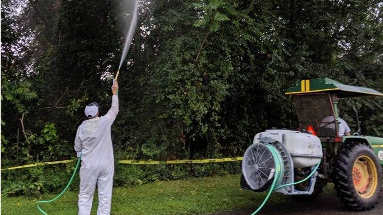 Lanternfly spraying