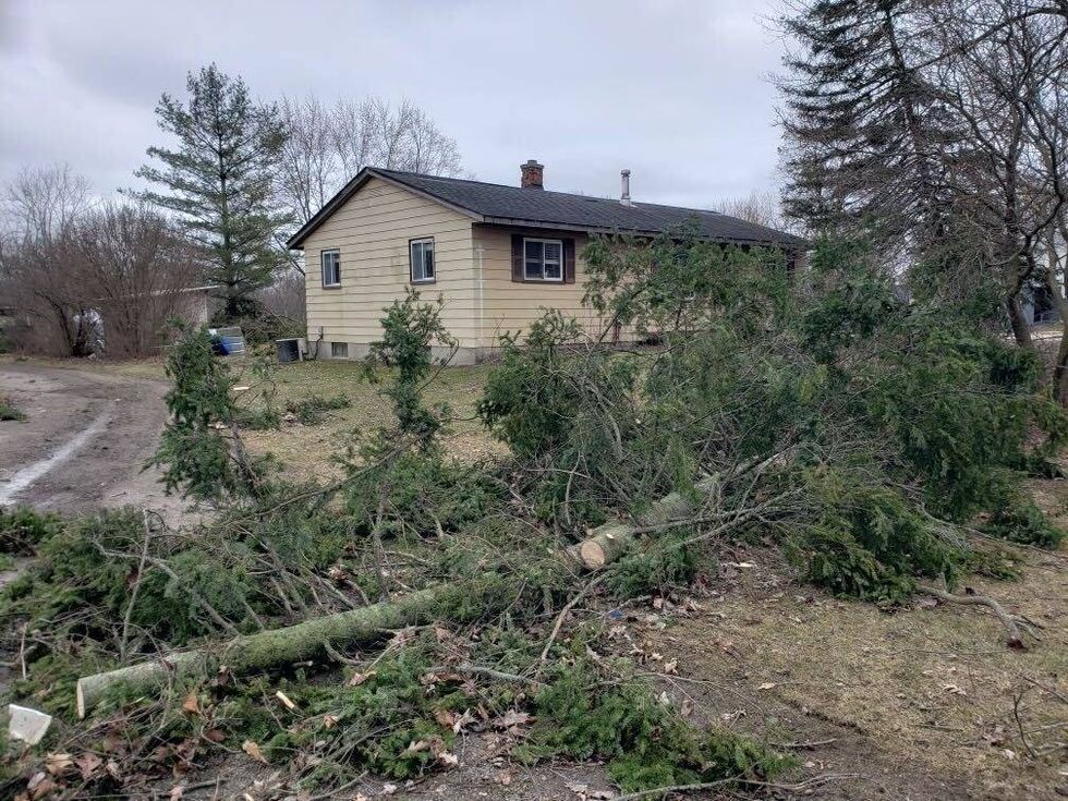 Large pine tree taken down by EF-2 tornado in Grand Blanc Twp.