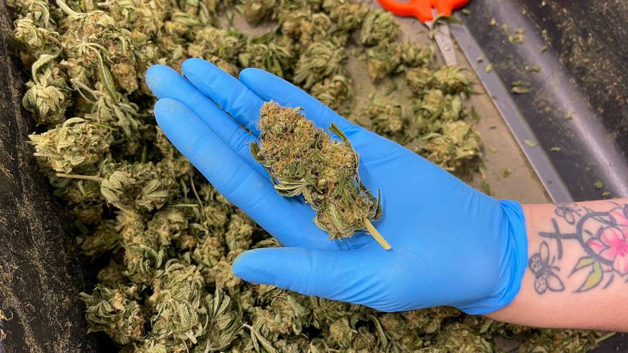 Last week, President Donald Trump told reporters he plans to revisit a proposal to reschedule marijuana that started under President Joe Biden, which has been on pause since January.