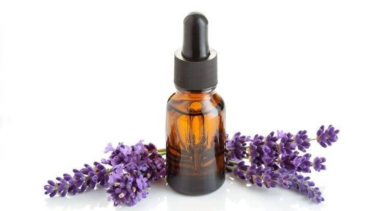 Lavender