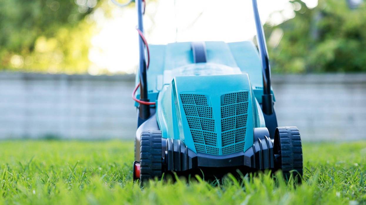 Lawn mower on green grass in back yard
