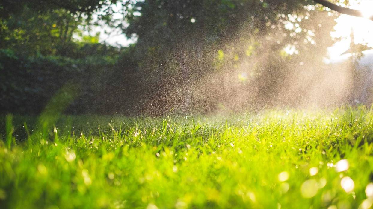 Lawn