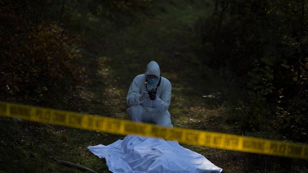 Lazar Cevjetkovic/Getty Images