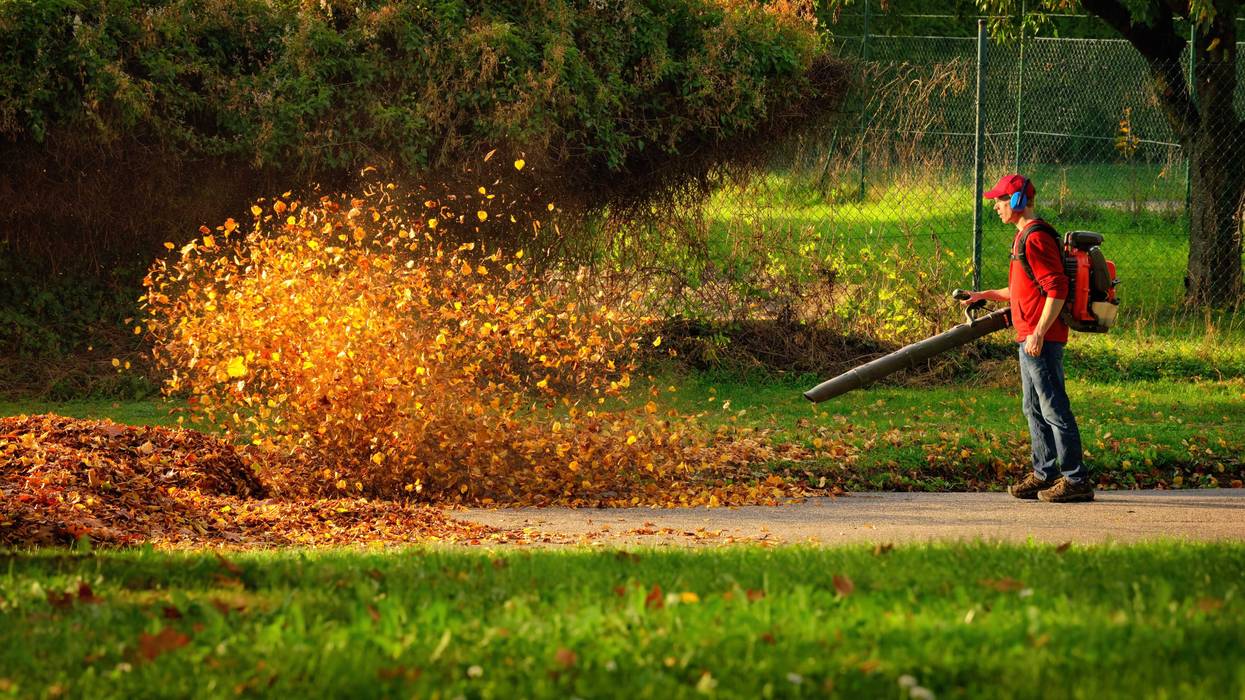 leaf blower