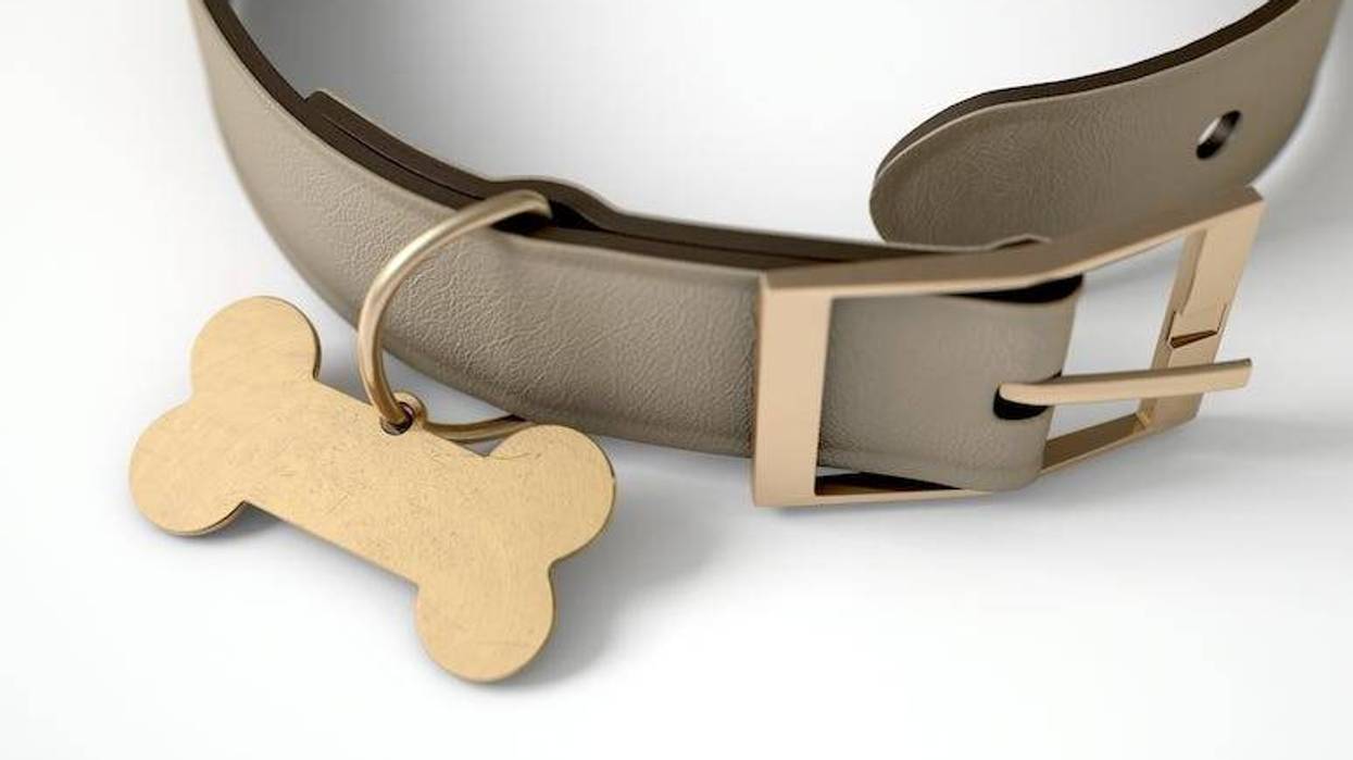 Leather Dog Collar, Dog Bone Tag