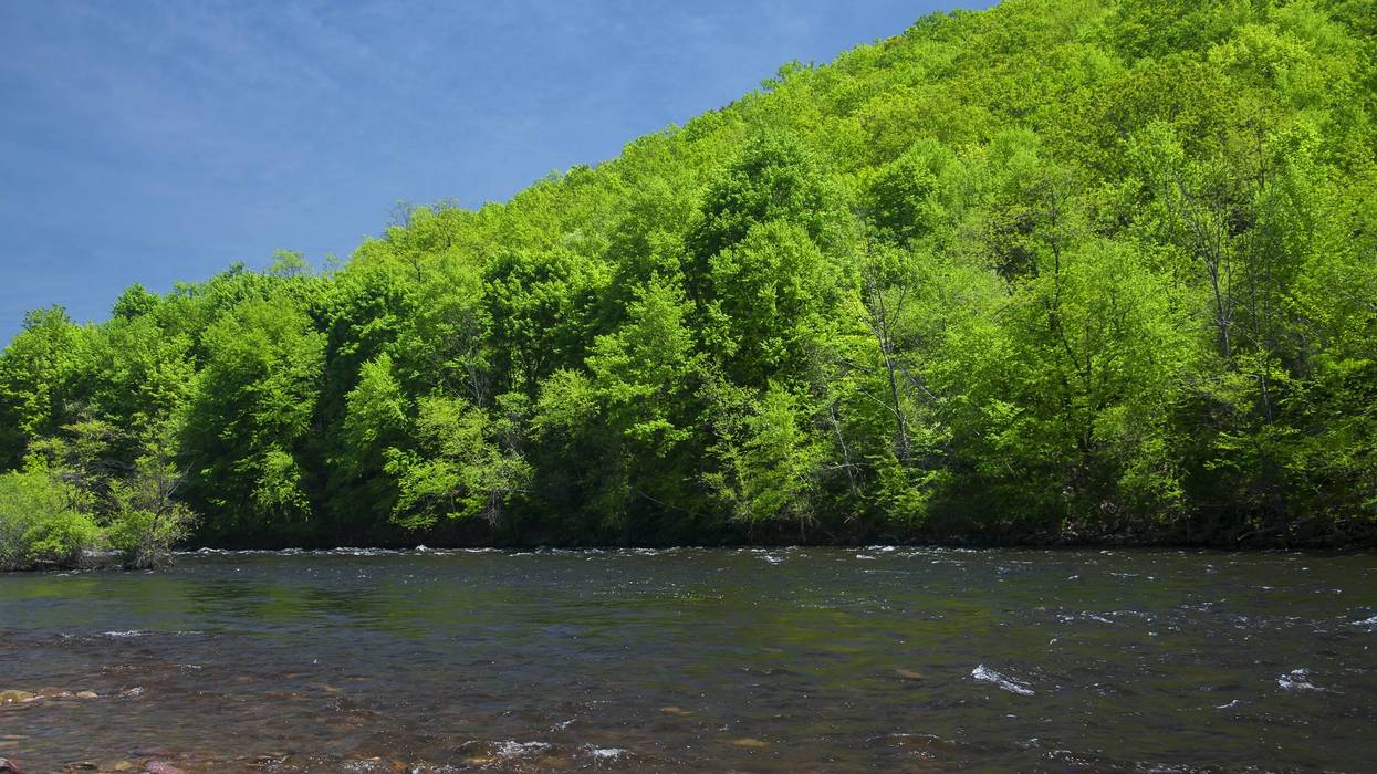 Lehigh River Landscape Jim Thrope Pennsylvania