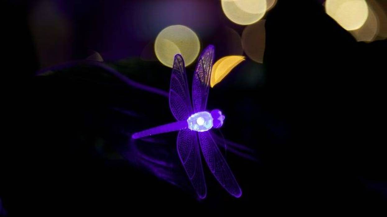 lensmen / Getty Images