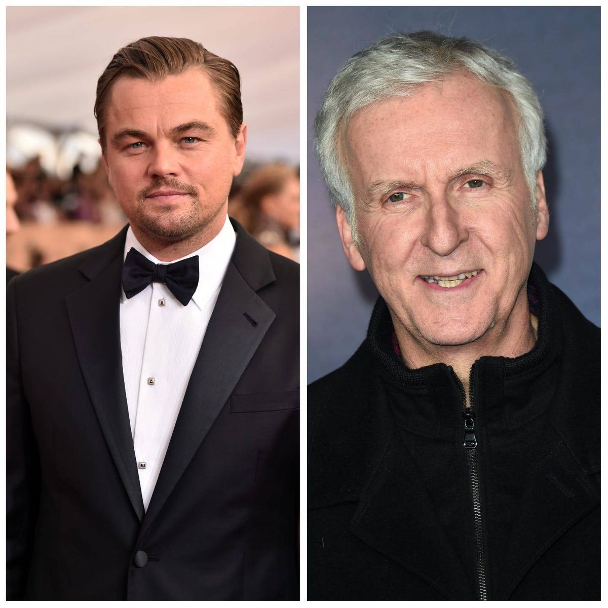 Leonardo DiCaprio and James Cameron
