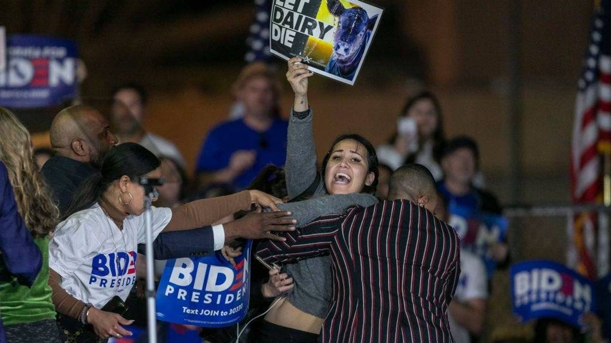 Let Dairy Die protester