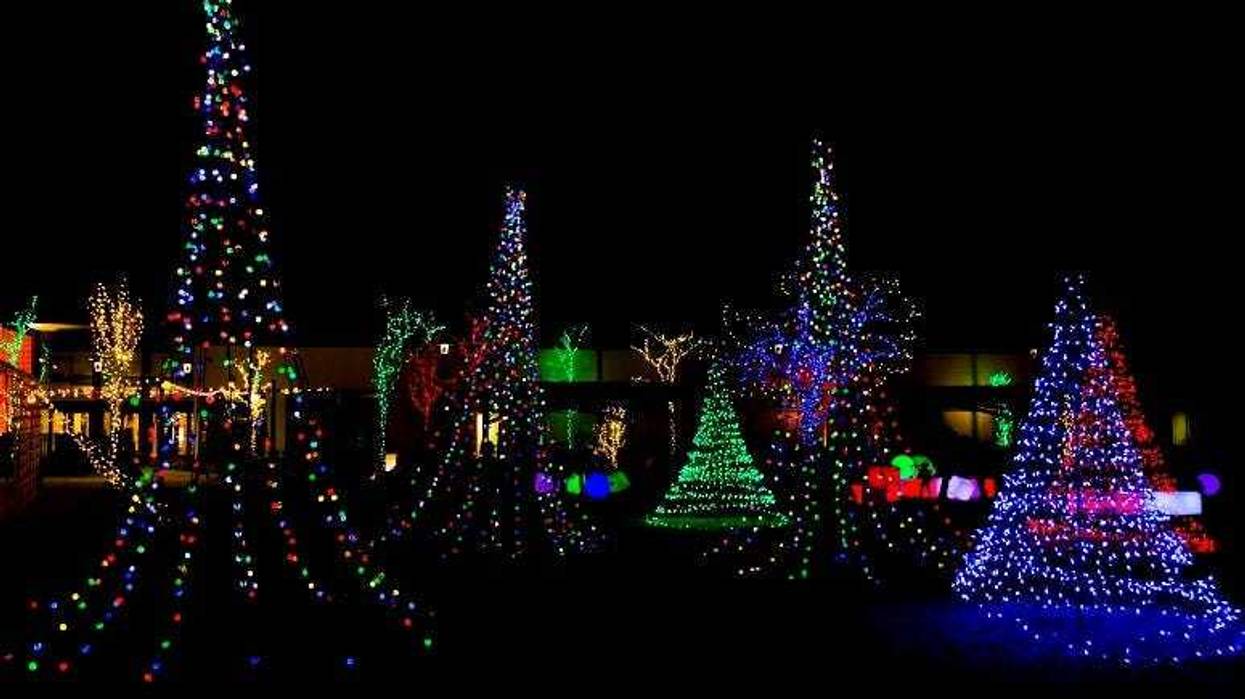 Lewis Ginter Lights