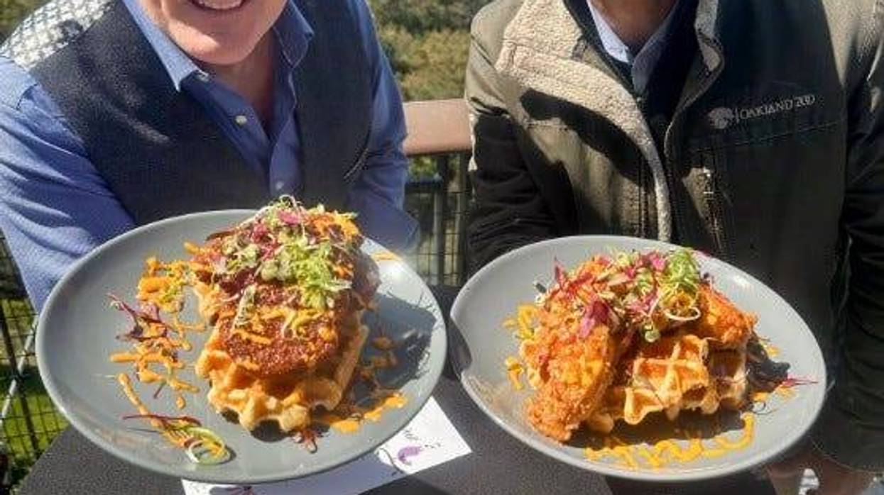 Liam with Nik Dehejia at Oakland Zoo