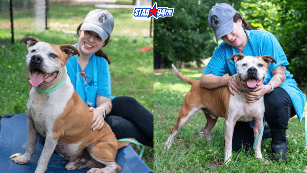 LifeLine Animal Project and DeKalb County Animal Services "Legacy"