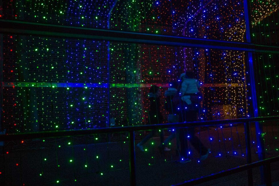 Light Maze Presented by Invesco QQQ