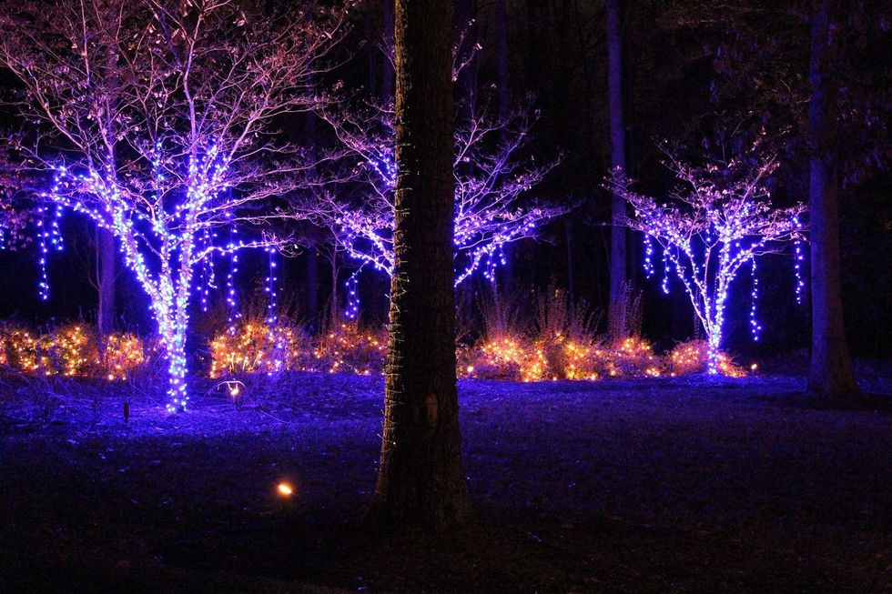 Watch As Channel 8 Covers Jeff's Light Up RVA Effort