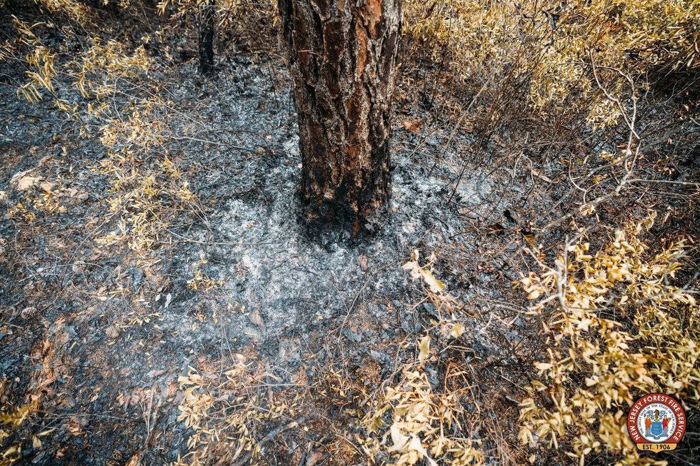 Lightning strikes sparked recent wildfires in South Jersey