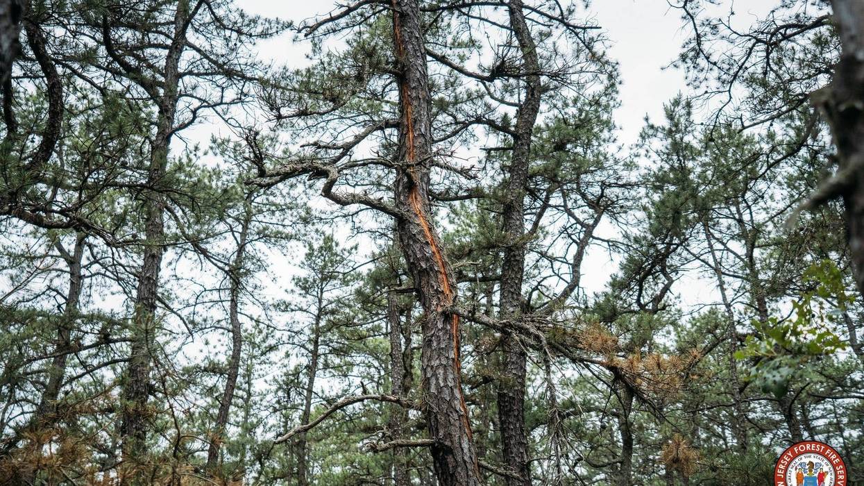 Lightning strikes sparked recent wildfires in South Jersey