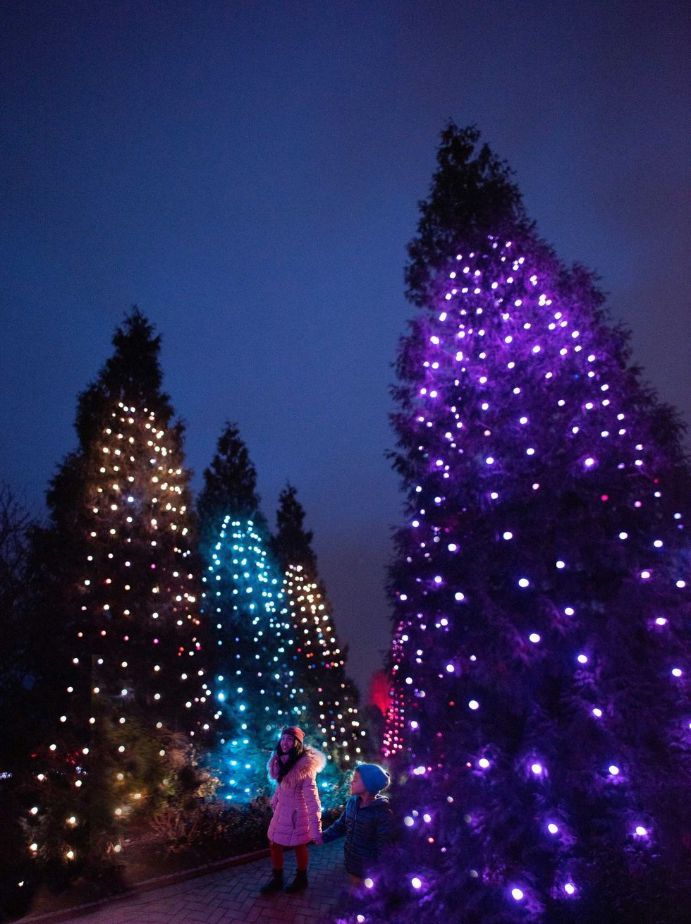 Lightscape at Chicago Botanic Garden