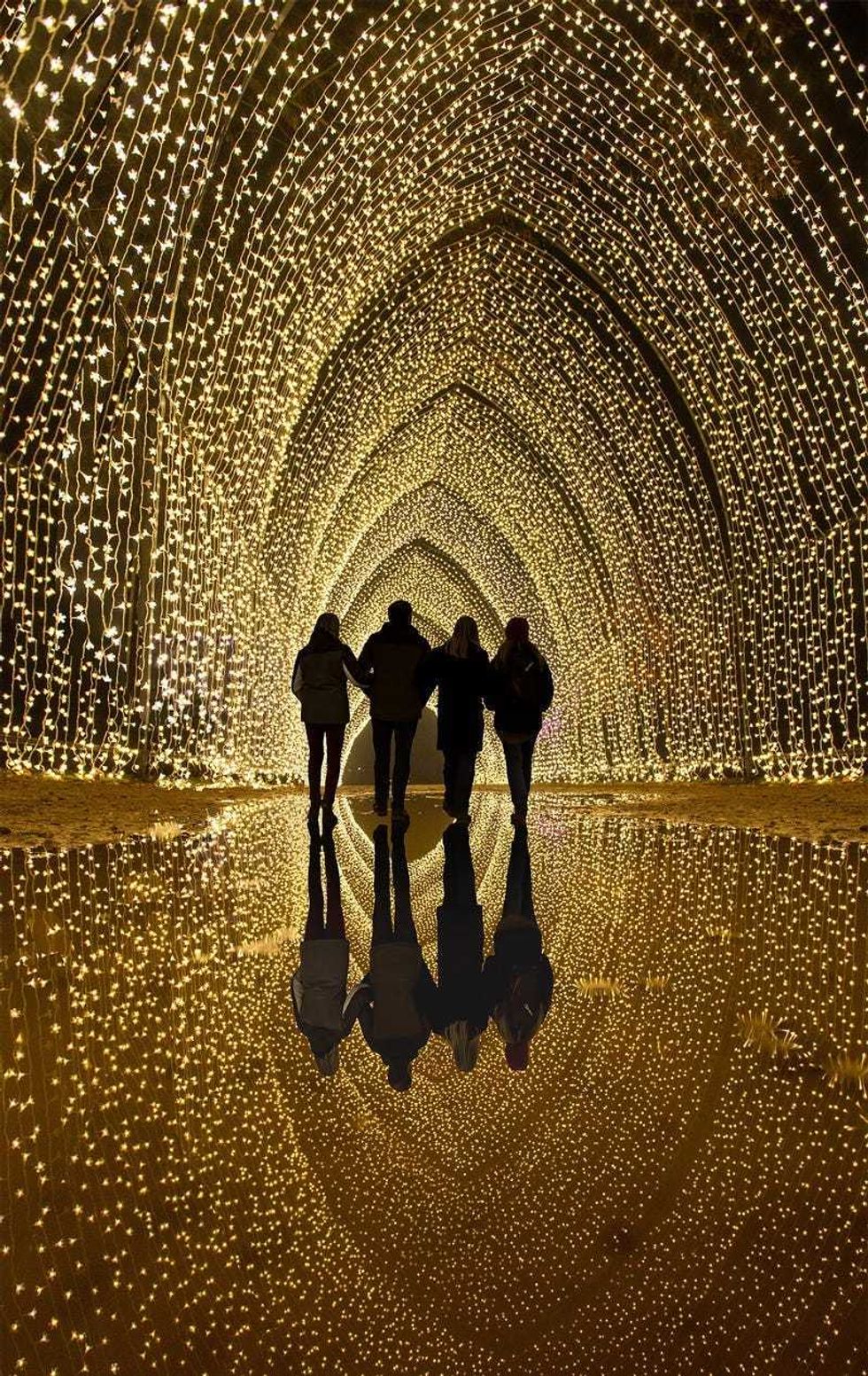 Lightscape
