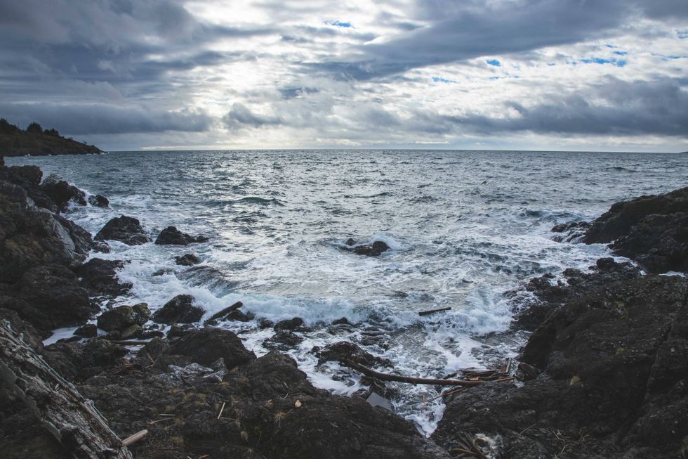 Lime Kiln Point rocky shores