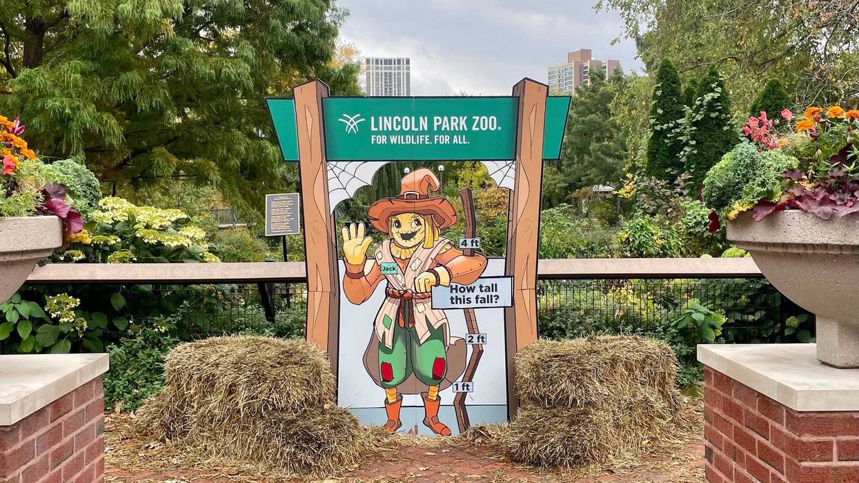 Lincoln Park Zoo celebrates final weekend of Fall Fest
