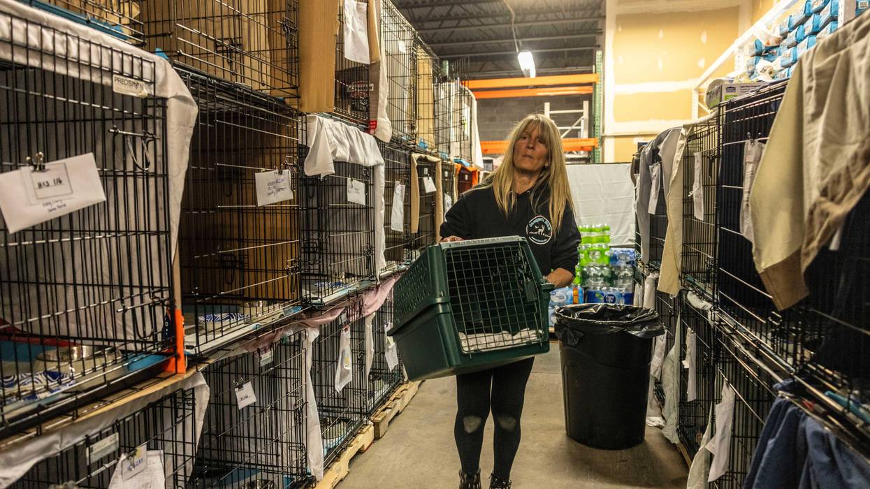 Lisa Jaeger, board member of Happy Cat Sanctuary, at a warehouse in Holbrook, New York on April 7, 2025. Jaeger is caring for over 200 cats rescued from a fire that killed over 150 cats and Christopher Arsenault, the founder of the cat sanctuary in Medford, New York.