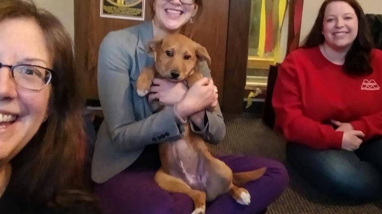 LISTEN: People for Pets Supports the Dane Co Humane Society, Jim & Teri Learn more about this Special Effort