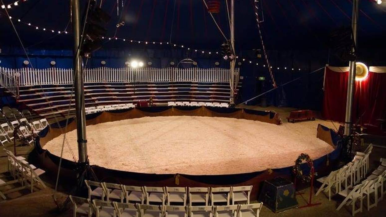 LISTEN: Zor Shrine Circus Trainer's Efforts to Save Tigers; Talks with Jim & Teri about Conservation, Education