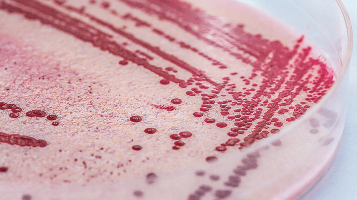 listeria