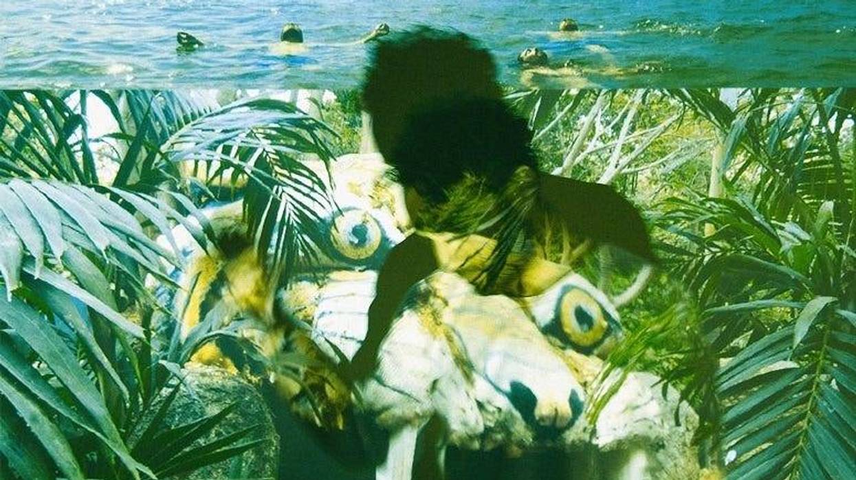 Local Natives Dark Days