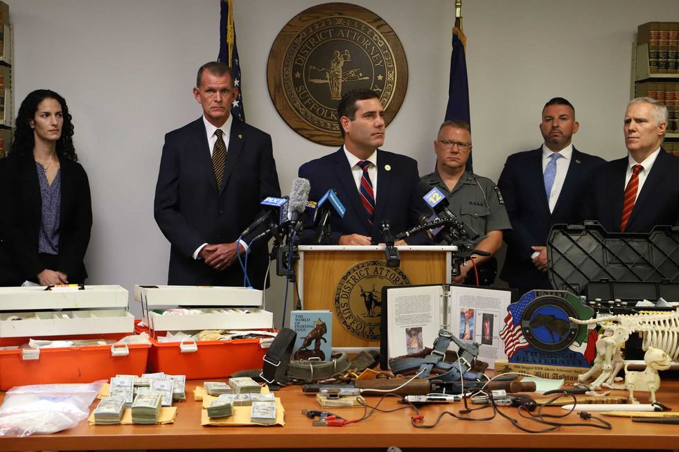 Long Island dogfighting