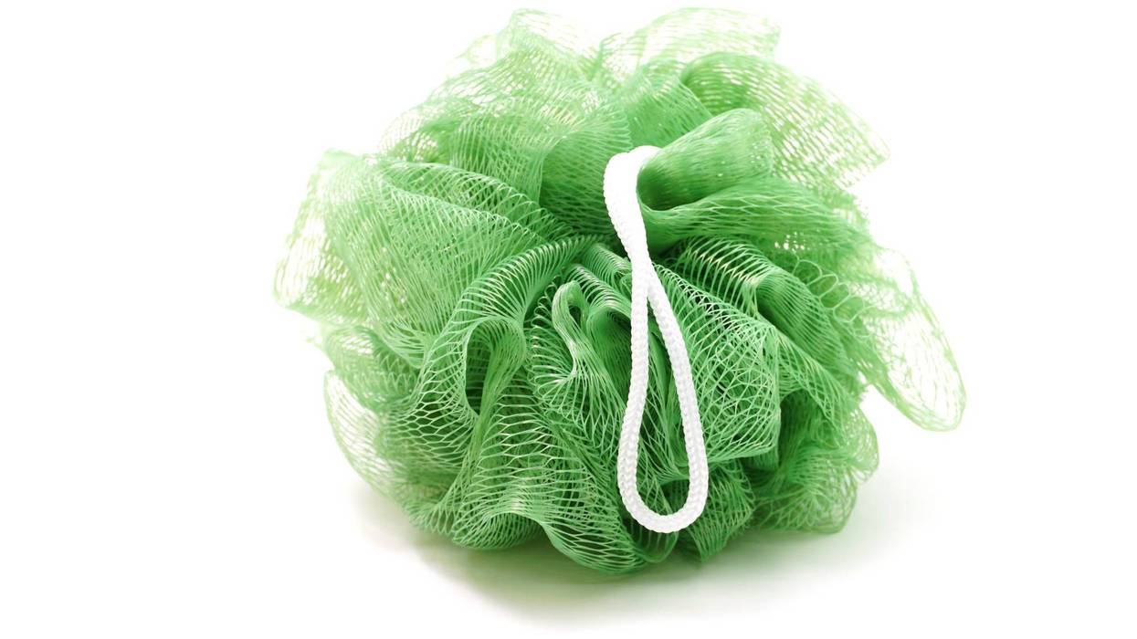 Loofah