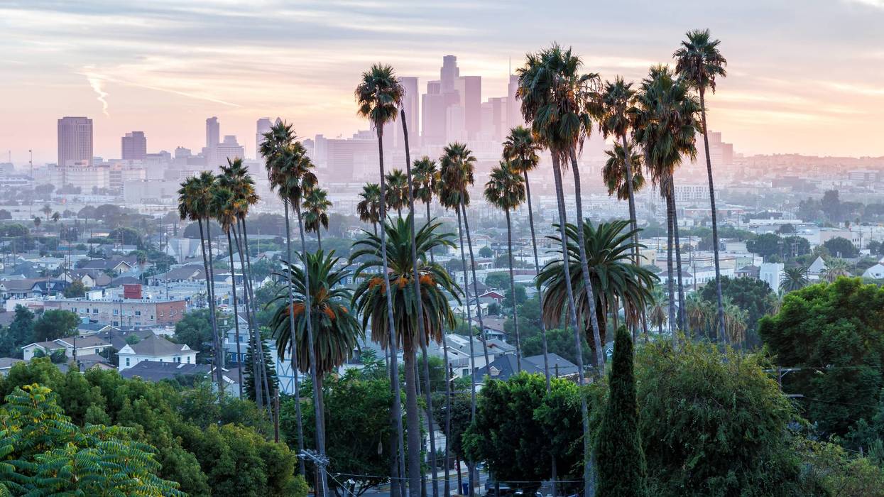 Los Angeles skyline and downtown with palm trees at sunset in California United States