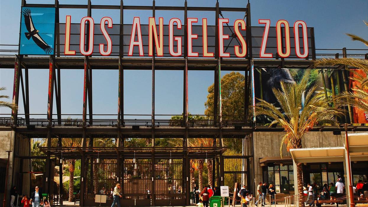 los angeles zoo