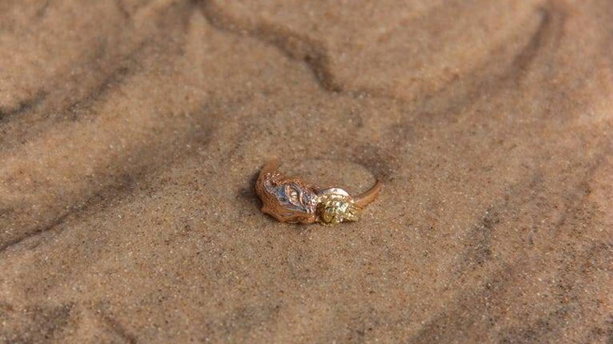 Lost ring
