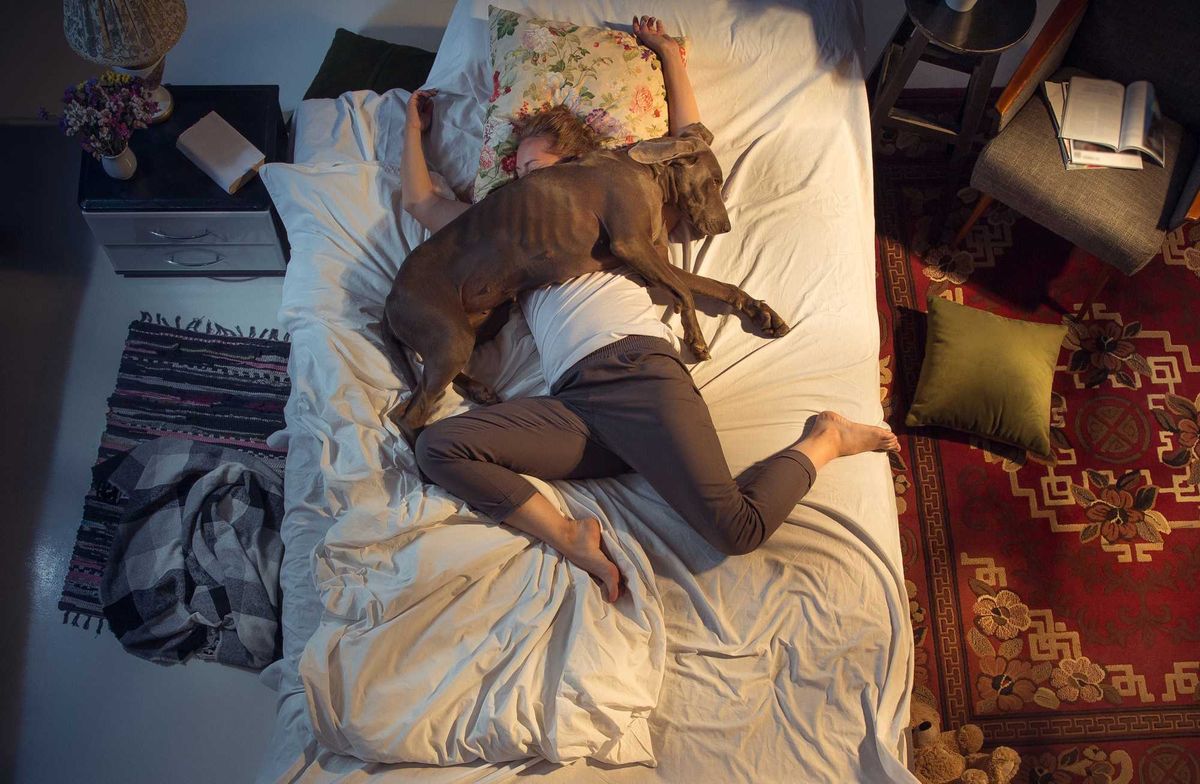 Lots of pet owners let their animals sleep on the bed with them, even though it's probably disturbing their sleep.