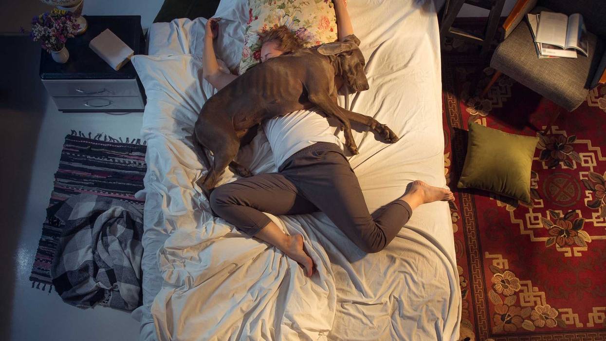 Lots of pet owners let their animals sleep on the bed with them, even though it's probably disturbing their sleep.