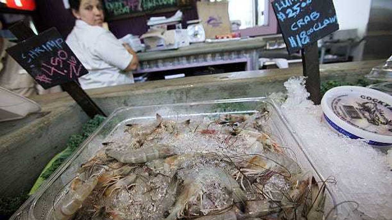 Louisiana Shrimp Industry