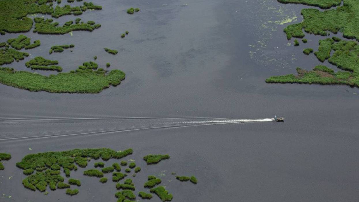 Louisiana wetlands